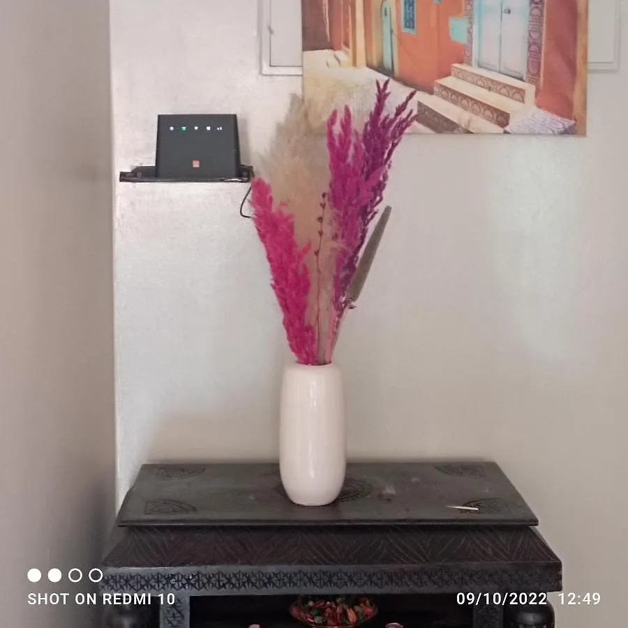 Diamant Marrakech Centre Apartment Marrakesh